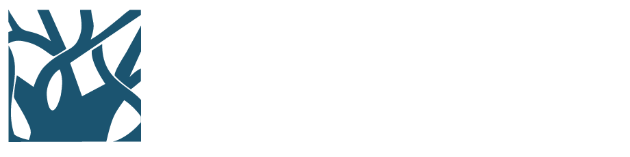 Institute of Domestic Violence, Religion & Migration